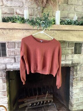 Charlotte Russe Rust Cropped Crewneck Sweater